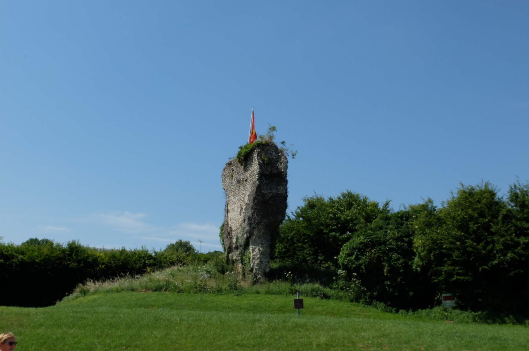 DSCF1452