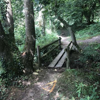 Img 7084