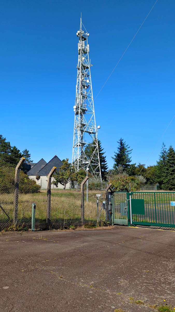 Pl 10