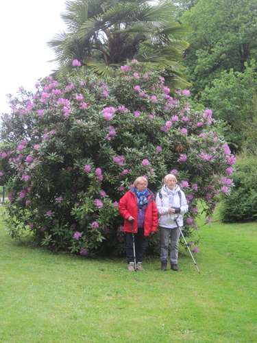 rando bretagne 2017 160