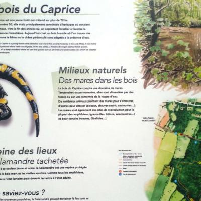 StAubinArque-09